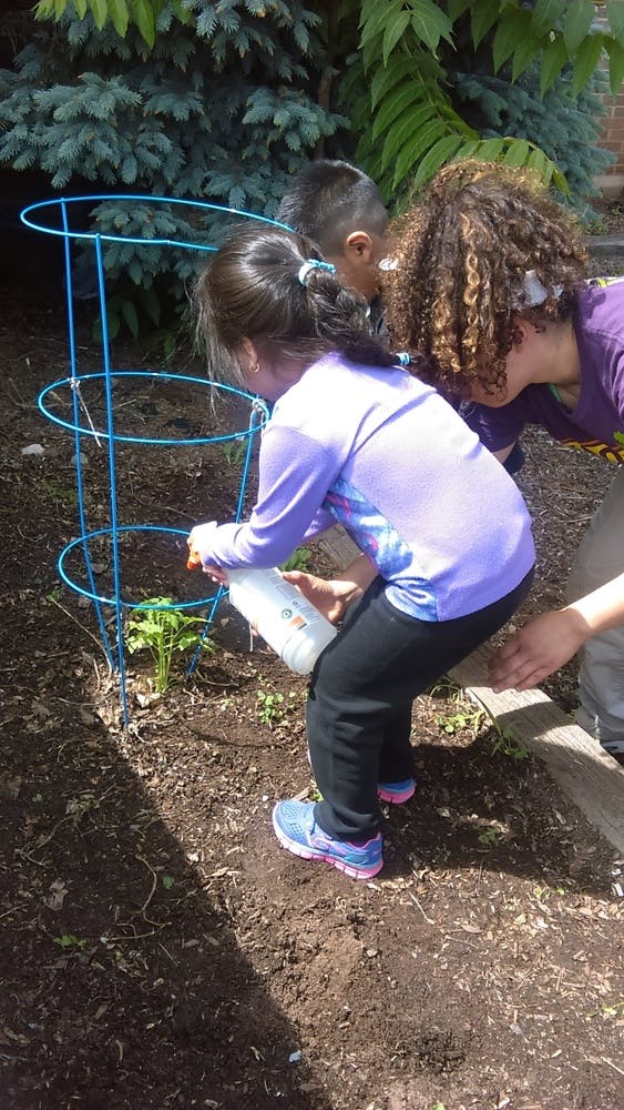 Child watering a plant in a garden with a person nearby