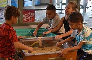 Four children playing with sand and water at a table