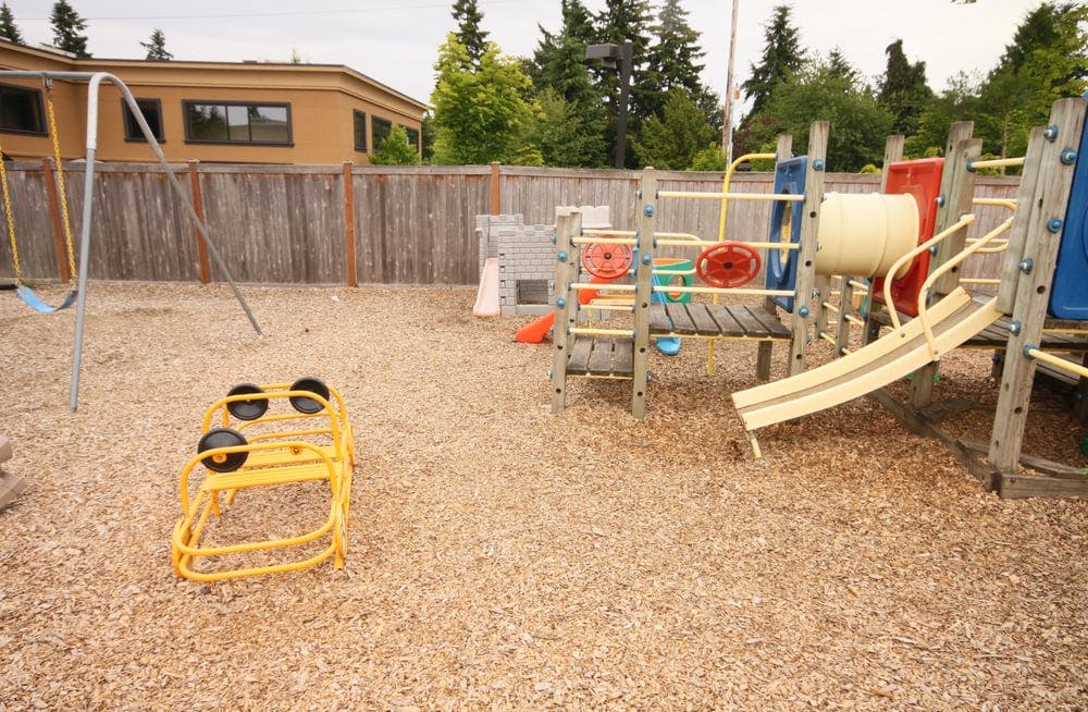 Empty playground with swings, slide, and climbing structure