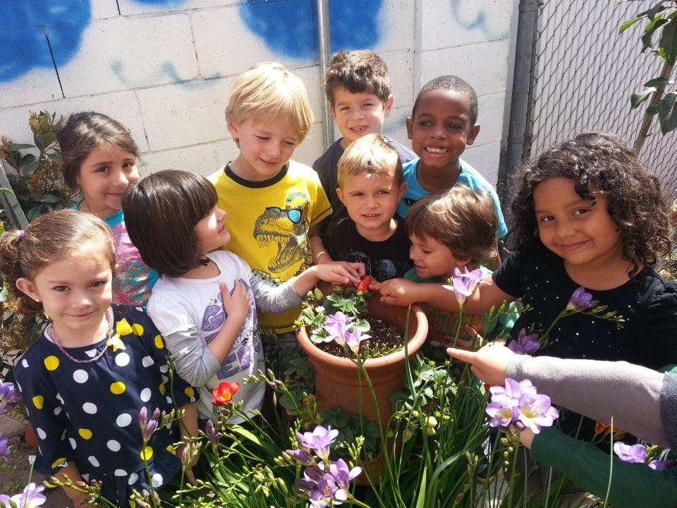 Group of children gathered around a potted plant with purple flowers