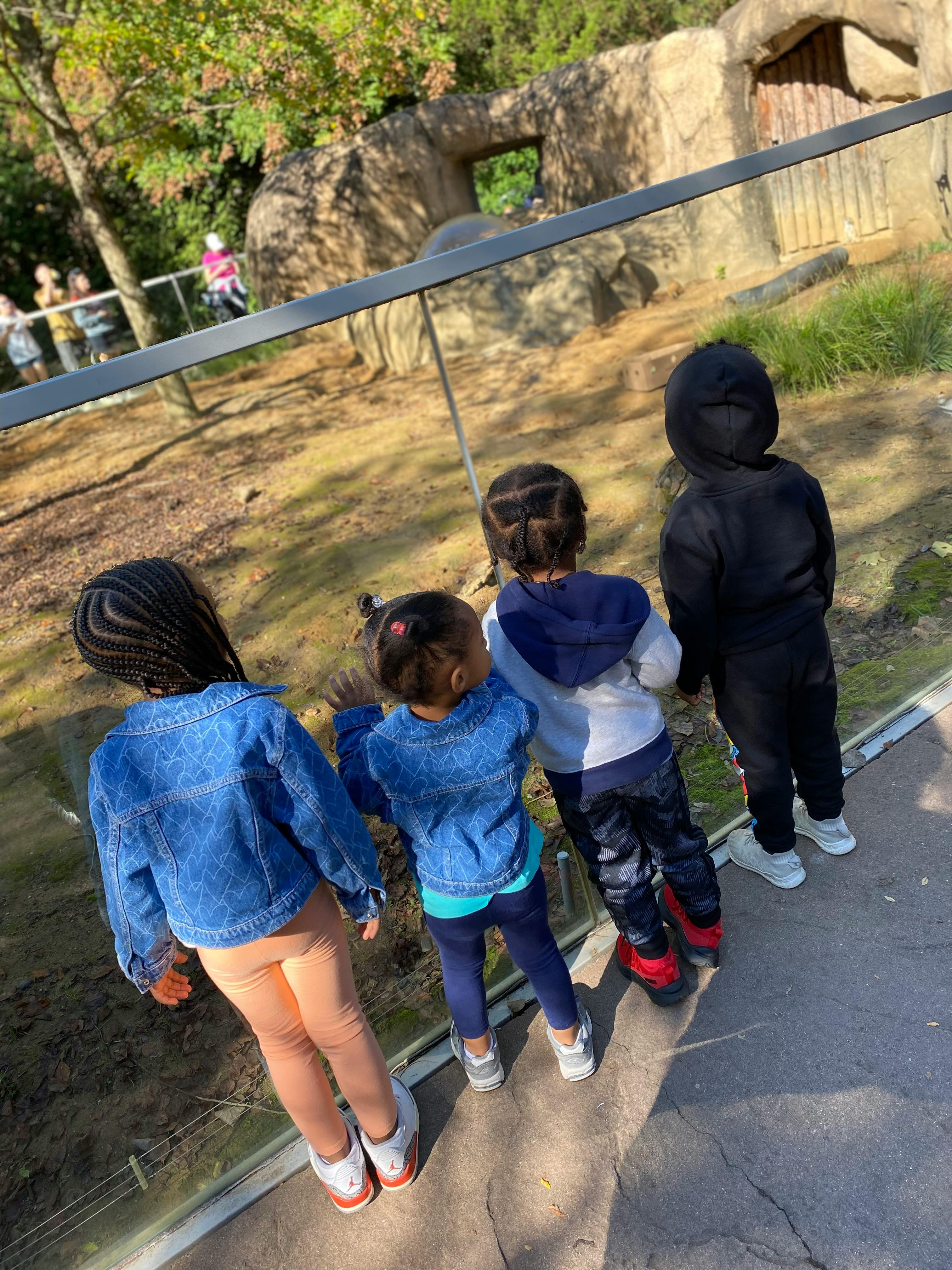 Four children looking over a barrier at an outdoor exhibit