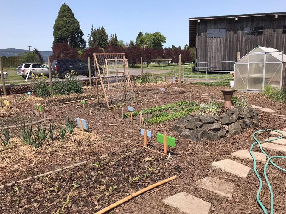 Community garden with planted beds, a greenhouse, and a wooden building