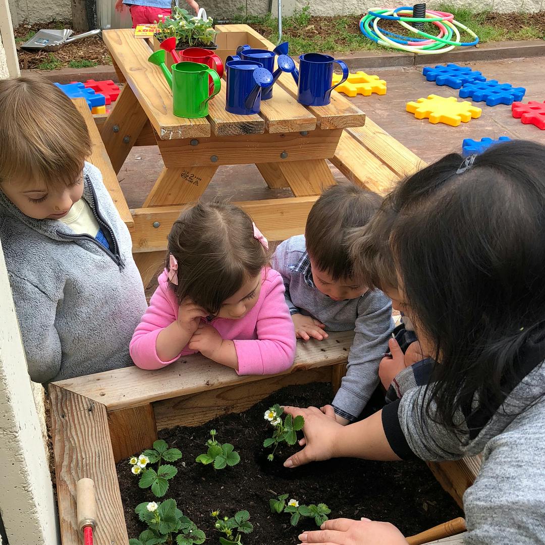 Children planting in a raised garden bed