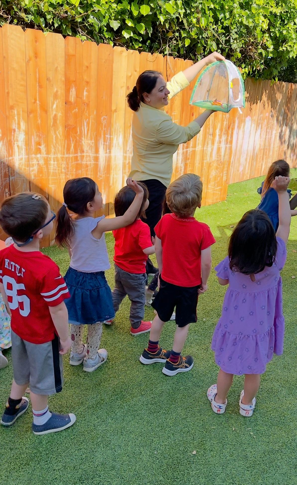 Adult showing a butterfly habitat to a group of children outdoors
