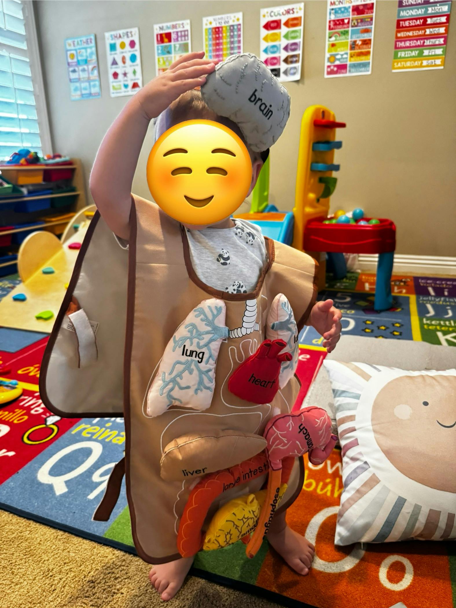 Child wearing an organ anatomy apron in a playroom