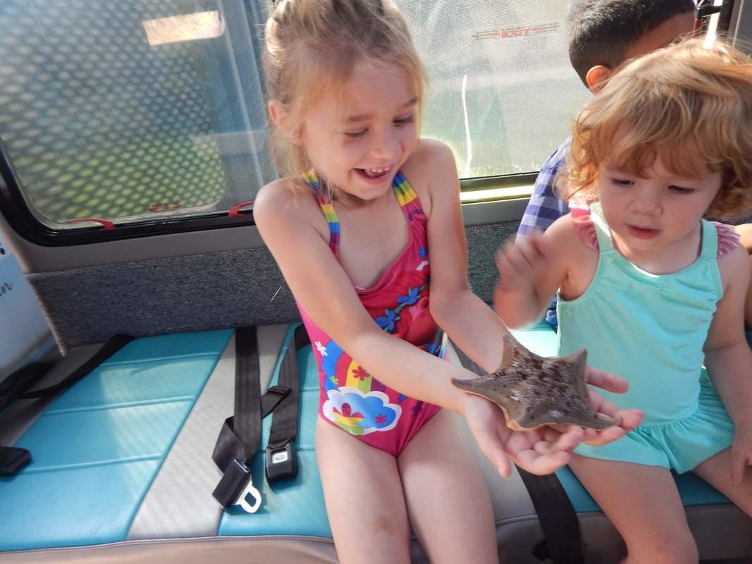 Child holding a starfish with another child looking on a child looking on