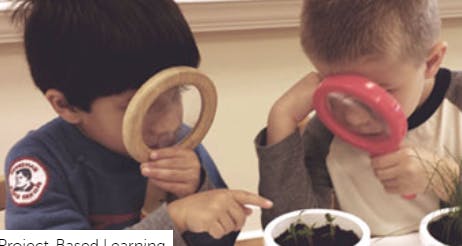 Two children looking at plants with magnifying glasses