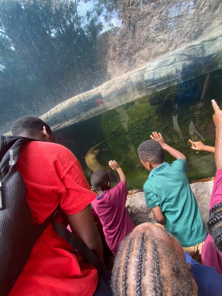 People and children looking into an aquarium