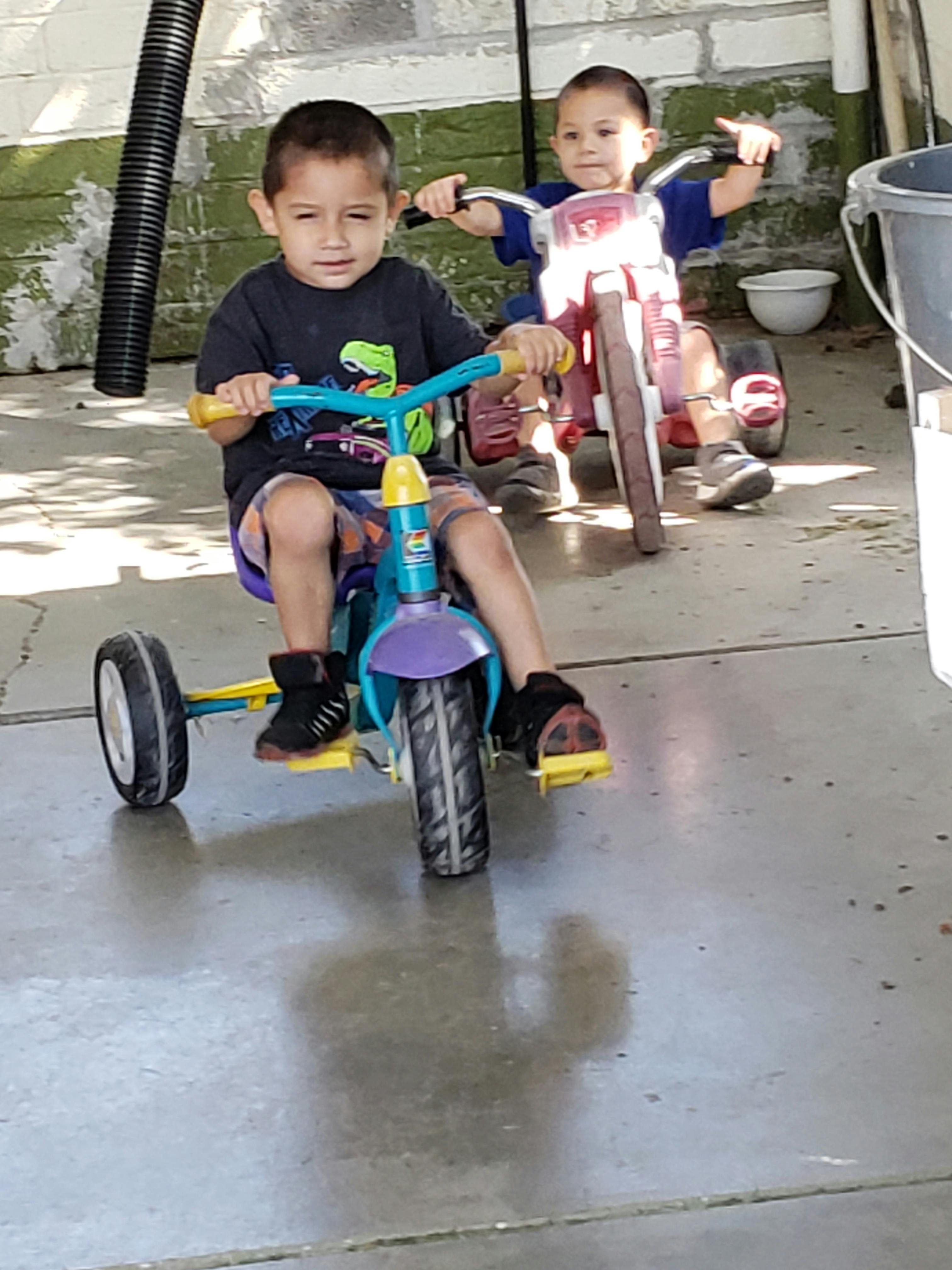 Two children riding tricycles
