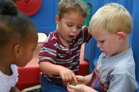 ABC Children's Academy Daycare in Jersey Village, TX Winnie