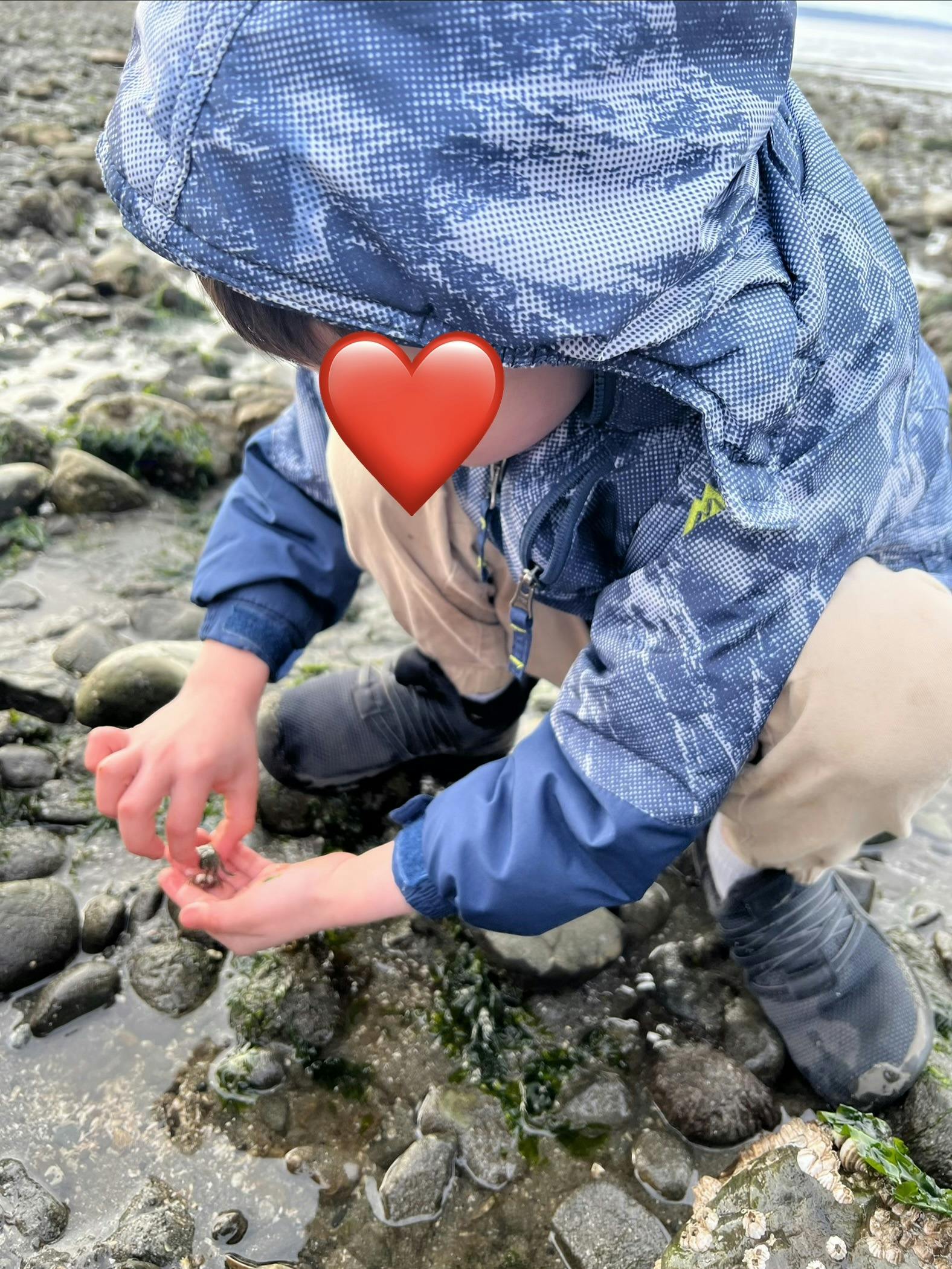 Child crouching on a rocky beach holding a small crab in their hands
