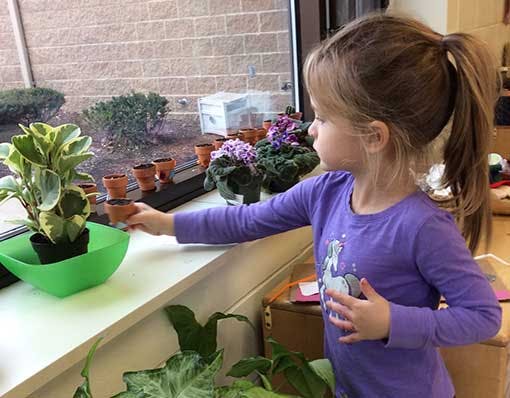 Child reaching for a small plant pot on a windowsill