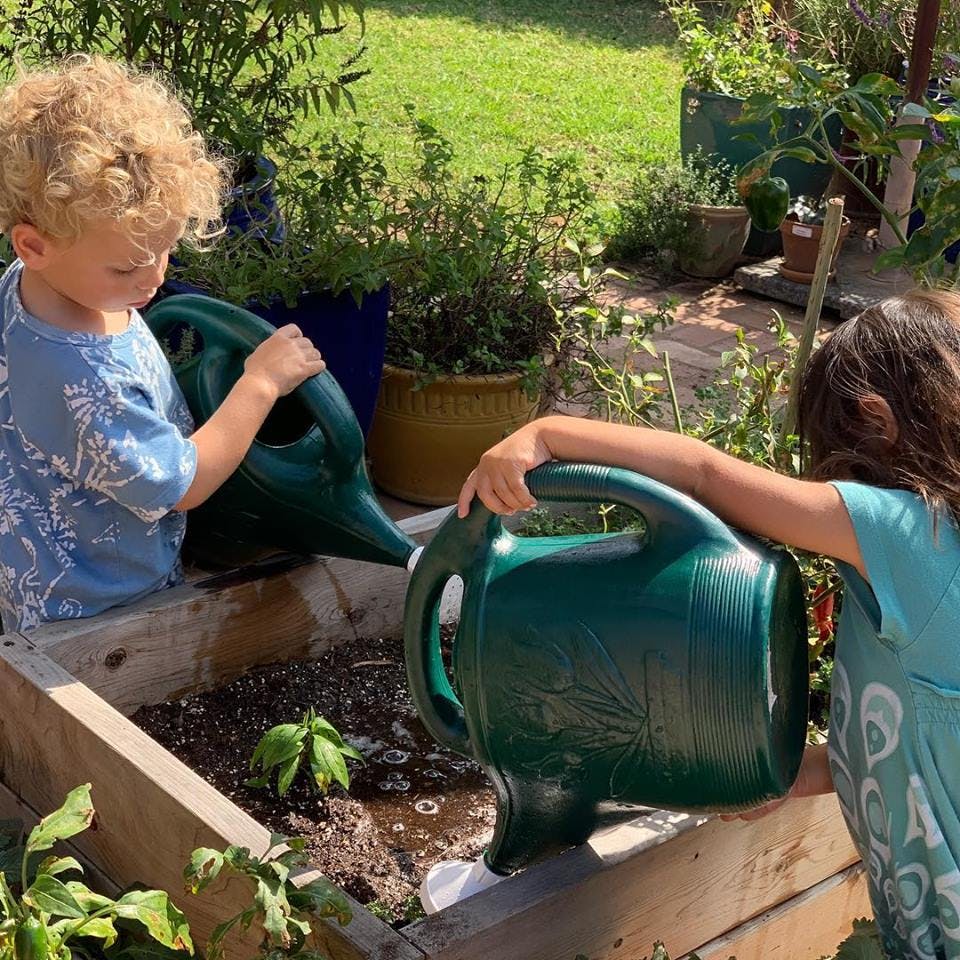 Two children watering plants in a raised garden bed