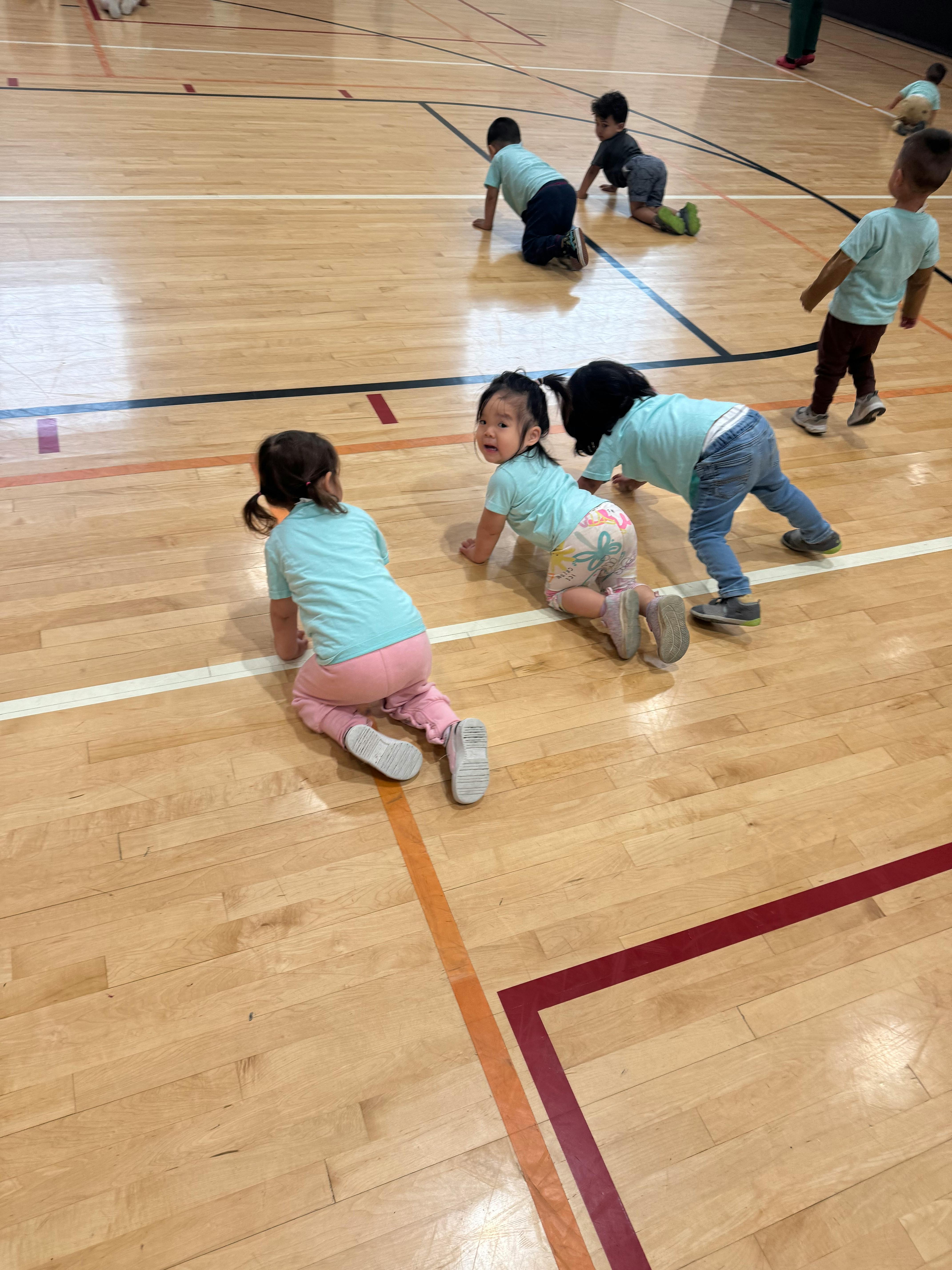 Children crawling on a gym floor