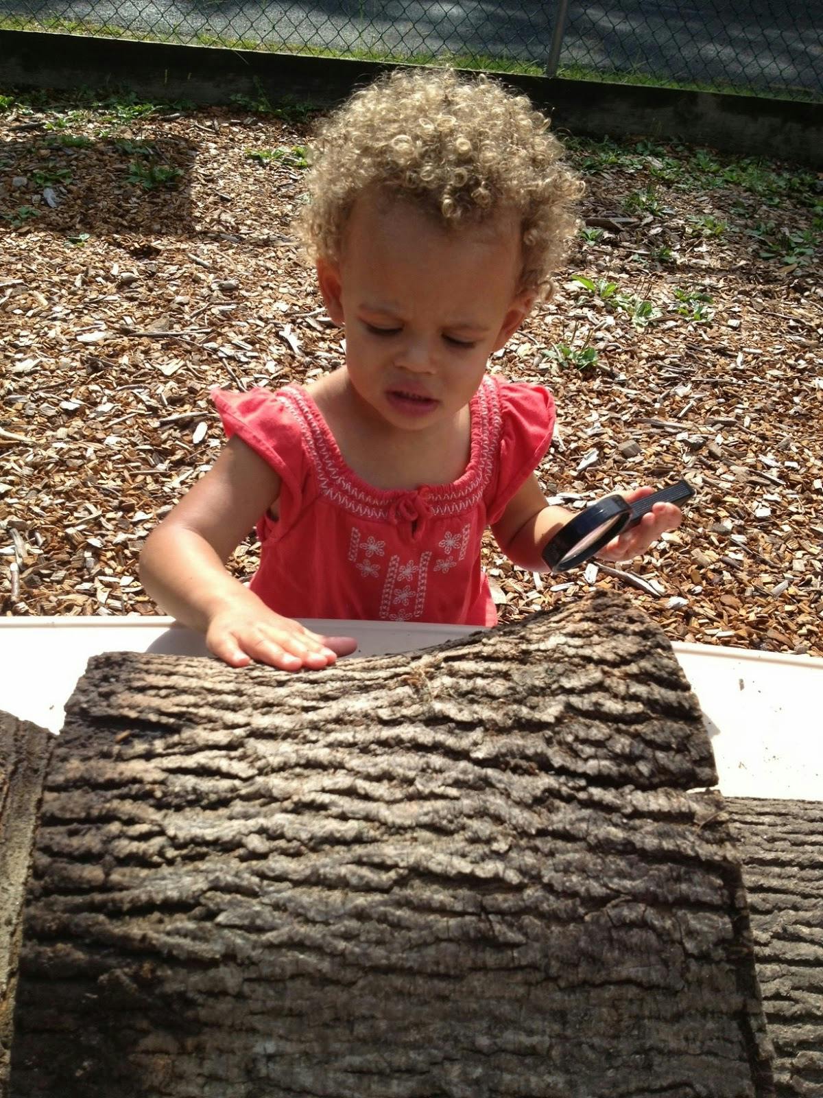 Child with curly hair looking at a log with a magnifying glass