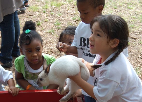 Child holding a white rabbit while other children watch