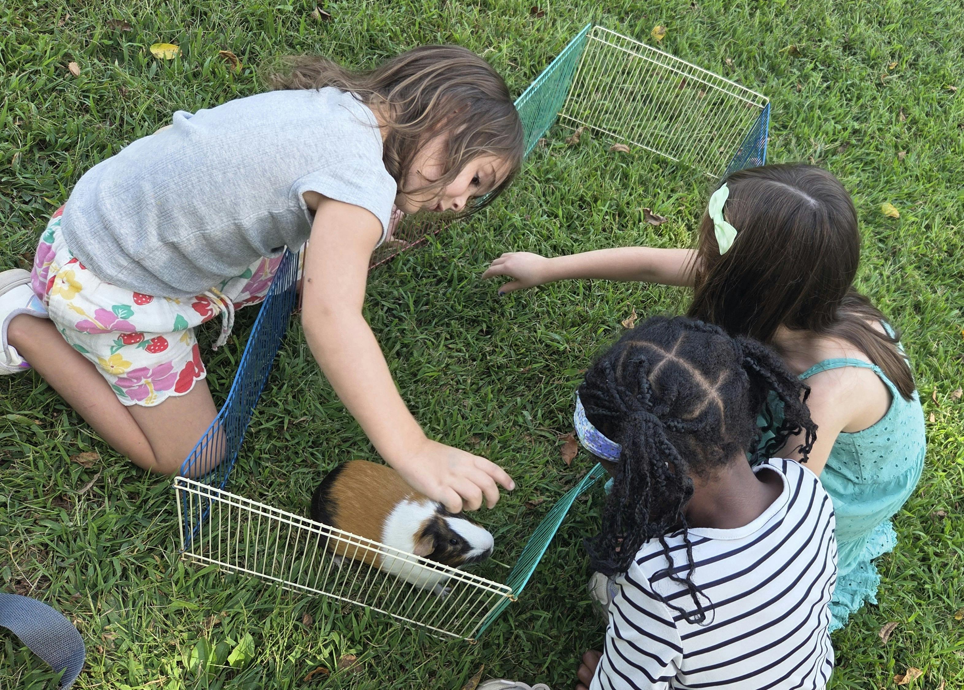 Three children petting a guinea pig in a wire enclosure on grass