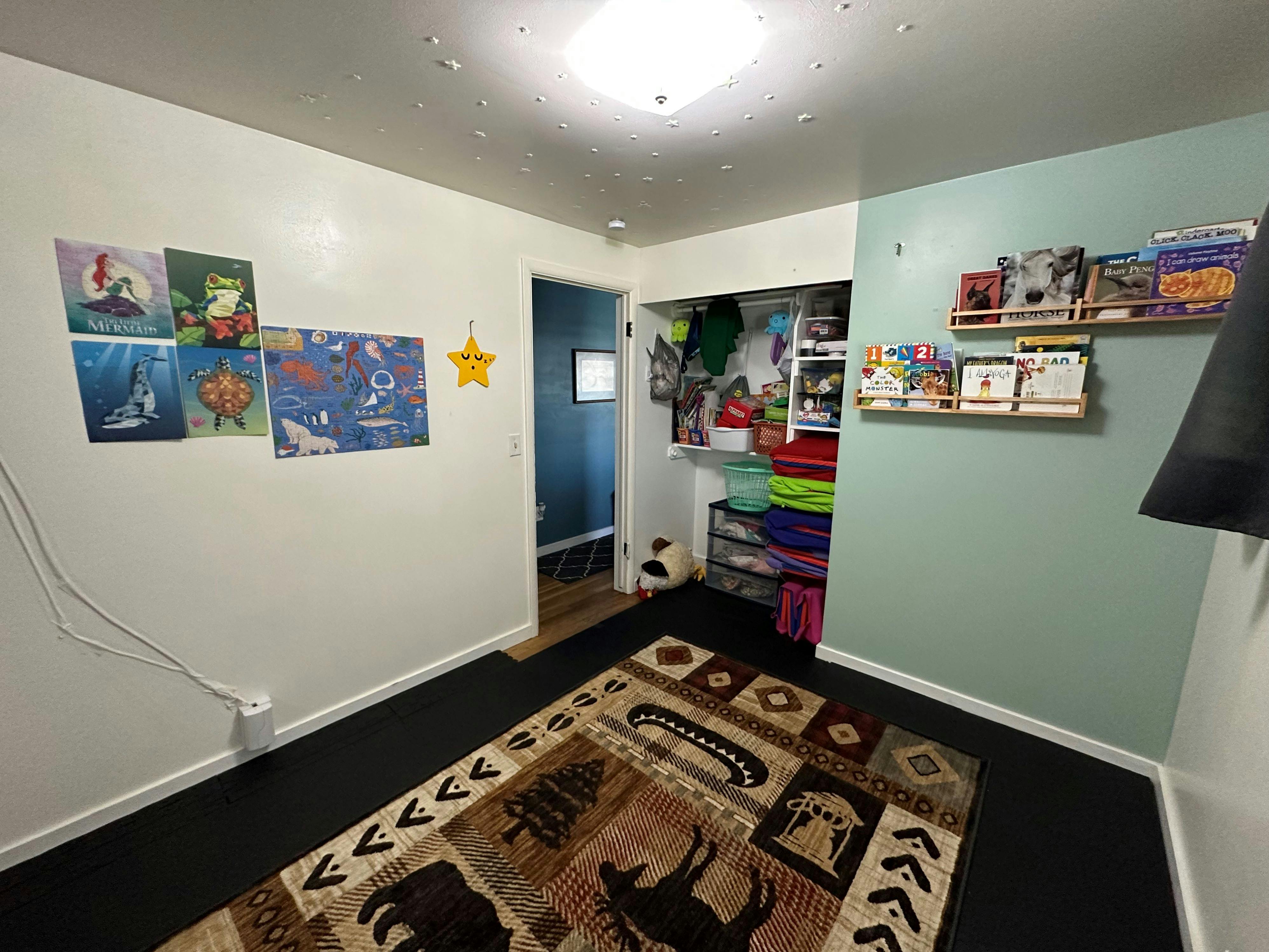 Room with a patterned rug, posters on one wall, and shelves with books on another