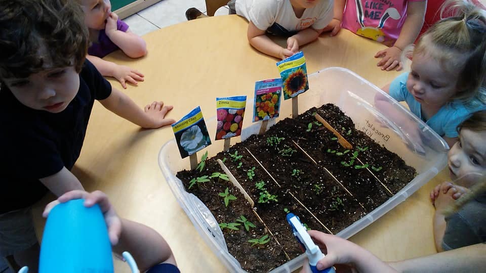 Green Meadows Preschool Preschool in Columbia, MO Winnie