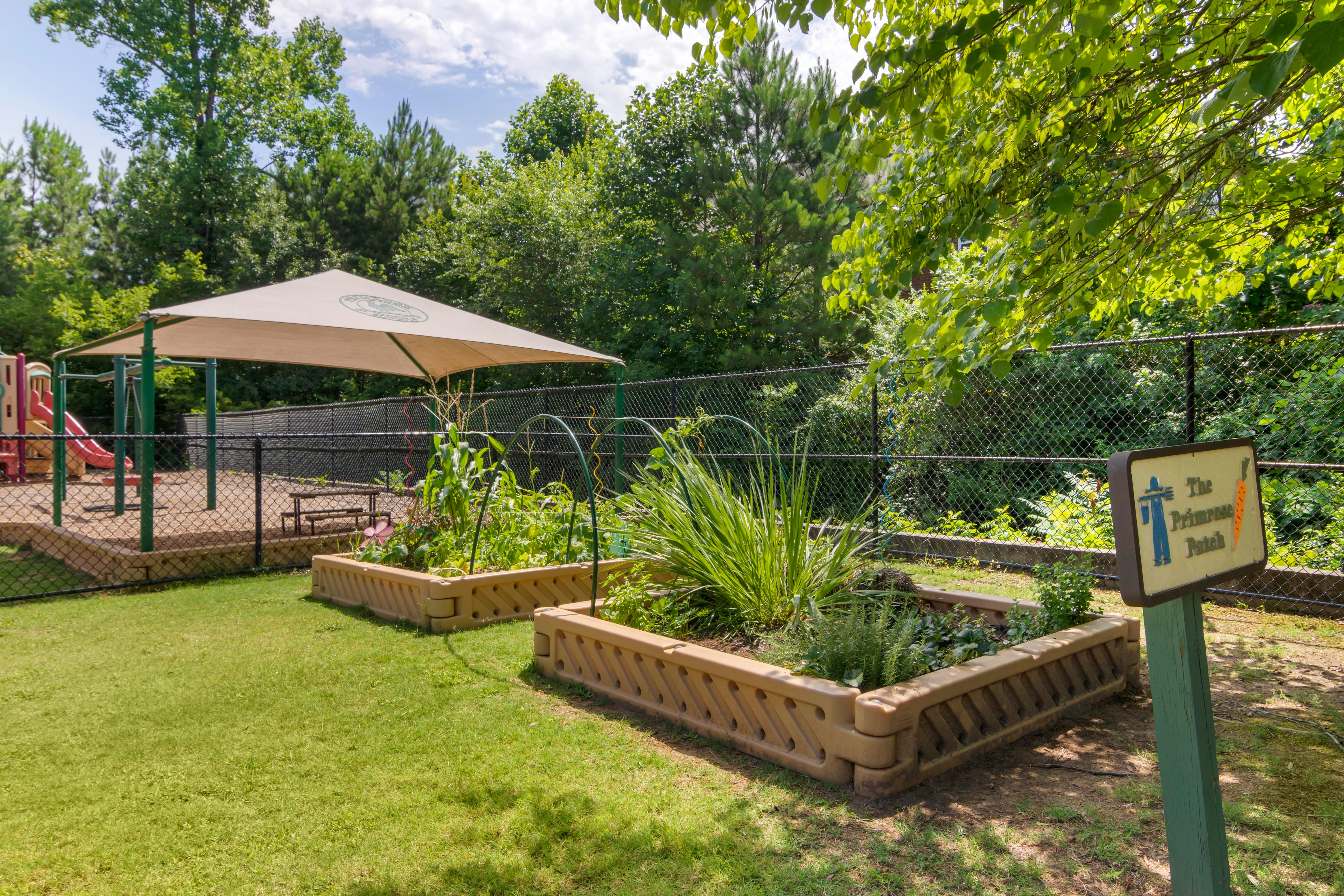 Raised garden beds with plants and a playground in the background