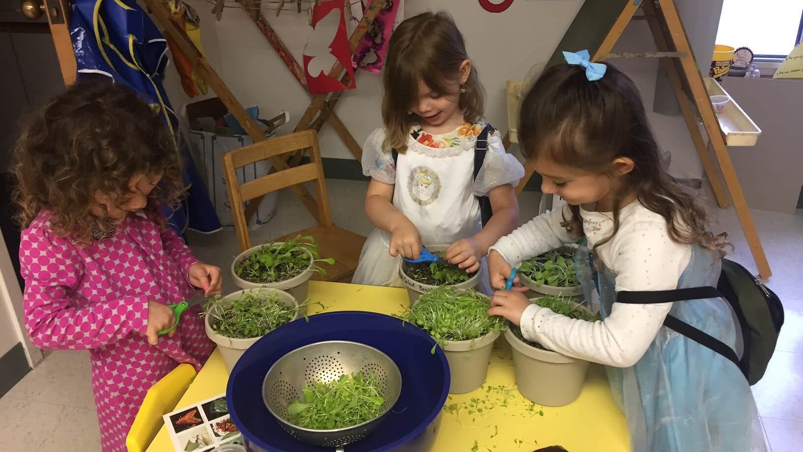 Three children cutting plants into bowls