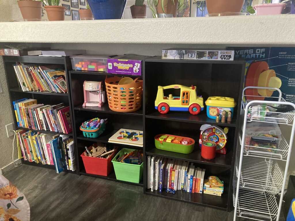 Bookshelves filled with books and various children's toys and games