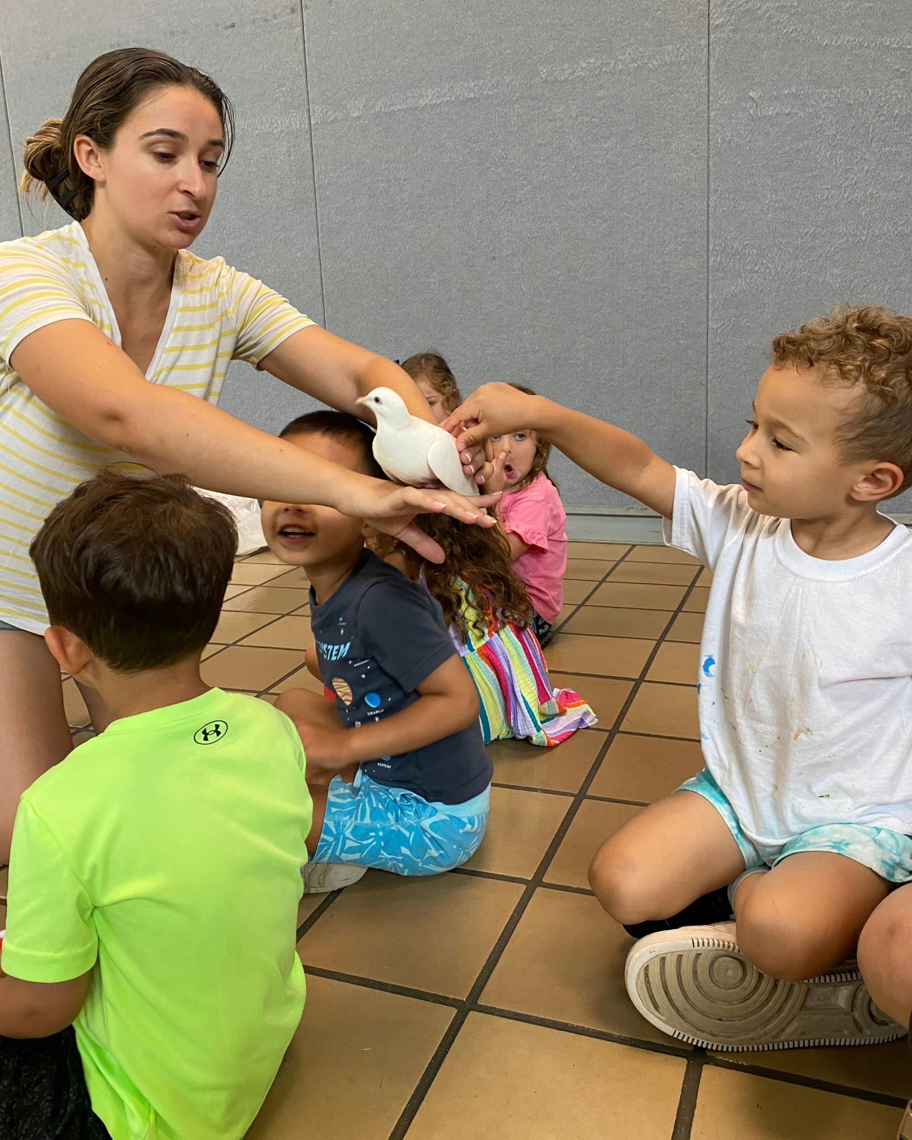 Person holding a white bird for children to see
