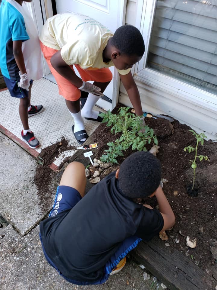 Three children planting in a garden bed