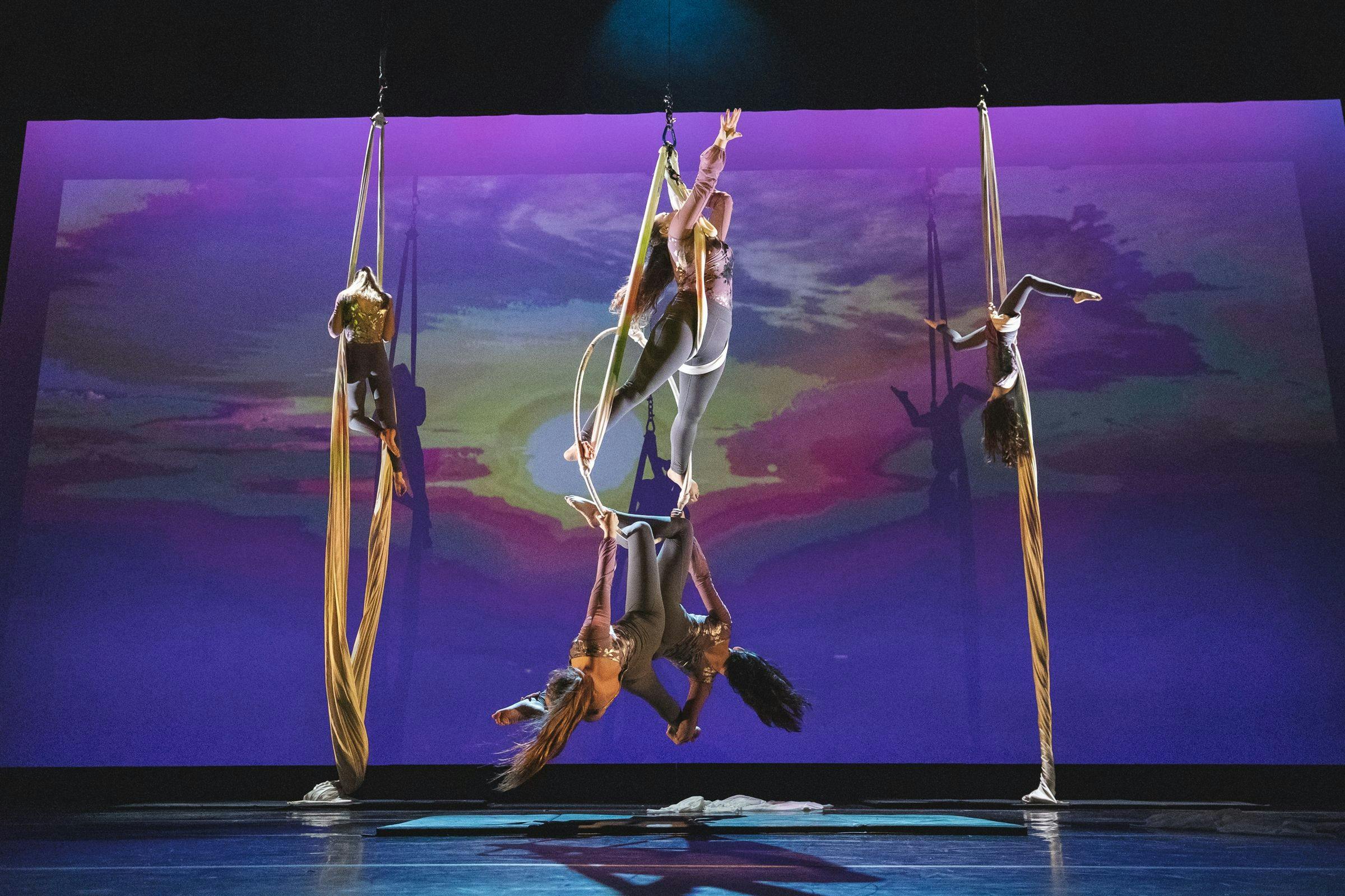 Four people performing aerial acrobatics with silks and a hoop on stage