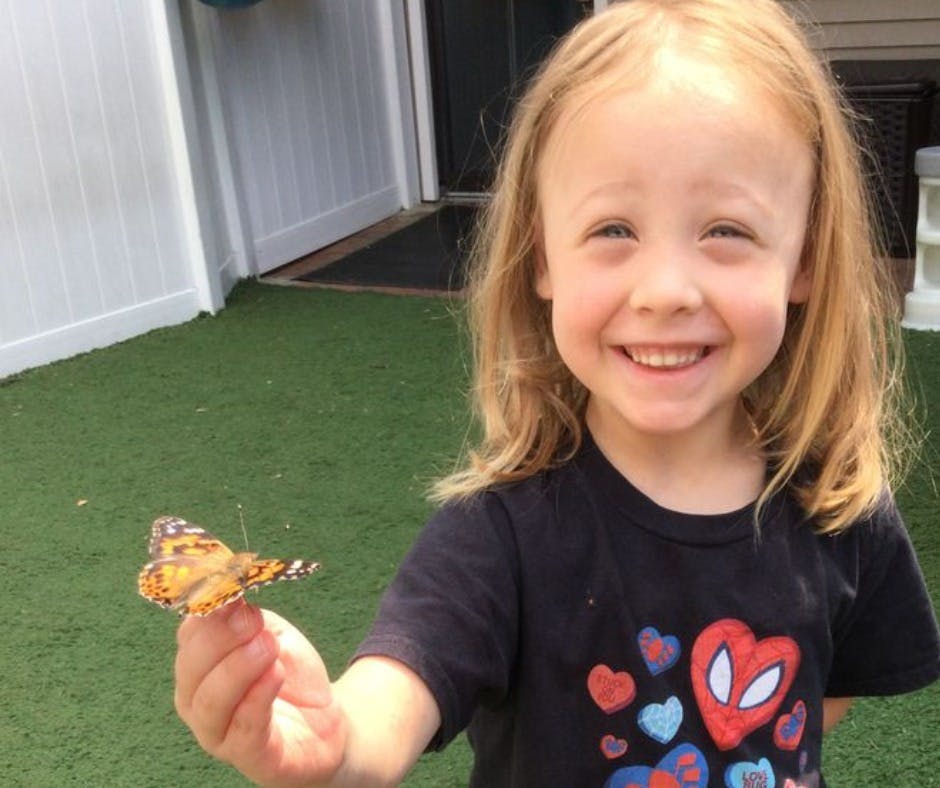 Child holding a butterfly on their finger