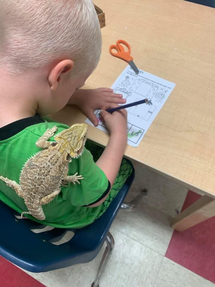 Child writing at a desk with a lizard on their shoulder