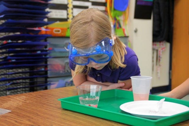 Child wearing safety goggles looking at a science experiment