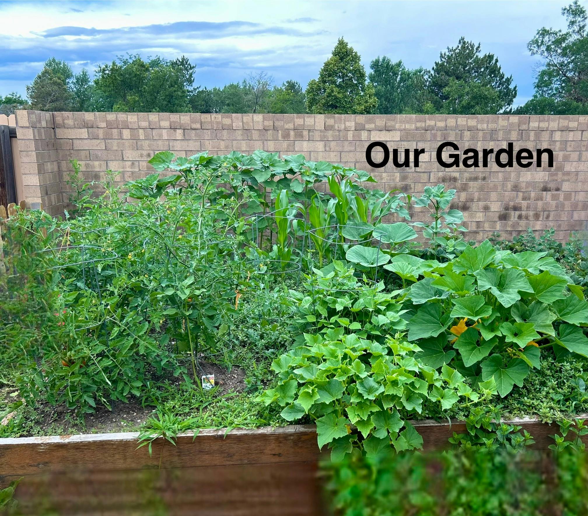 Raised garden bed with various plants and text "Our Garden"