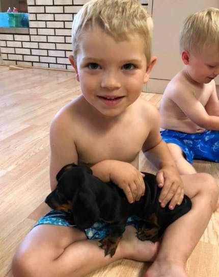 Child holding a black puppy