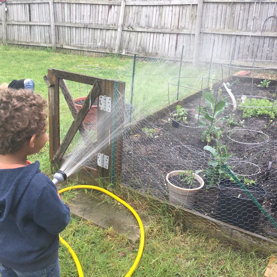 Child watering a garden bed with a hose