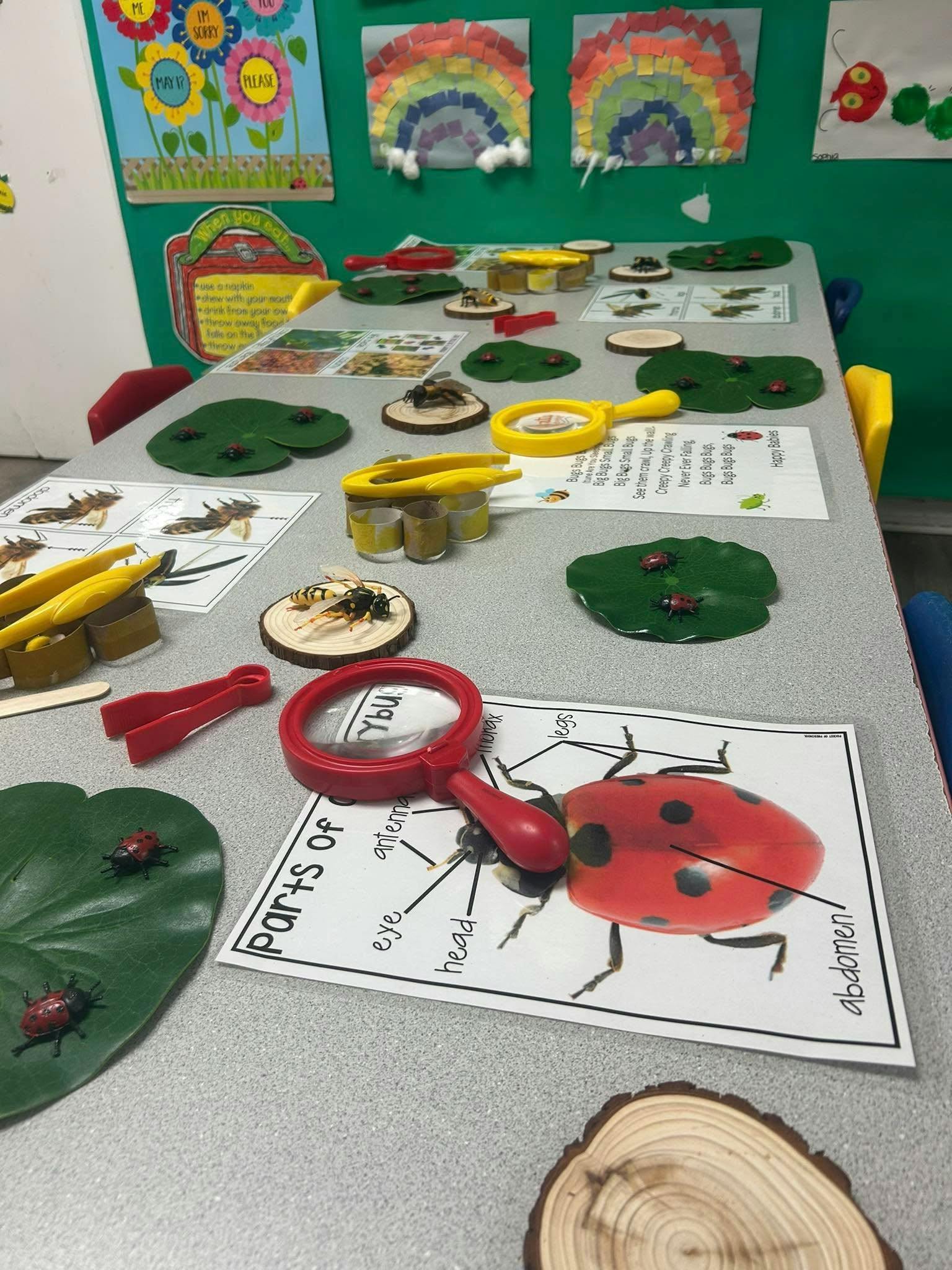 Table with ladybug diagram, magnifying glass, and insect models