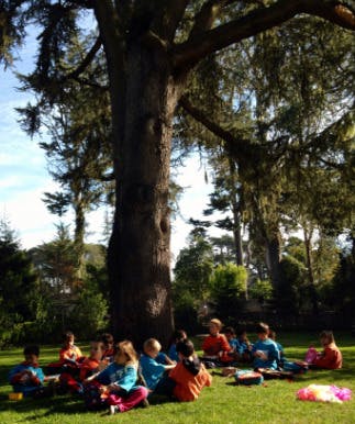 Children sitting on grass under a large tree