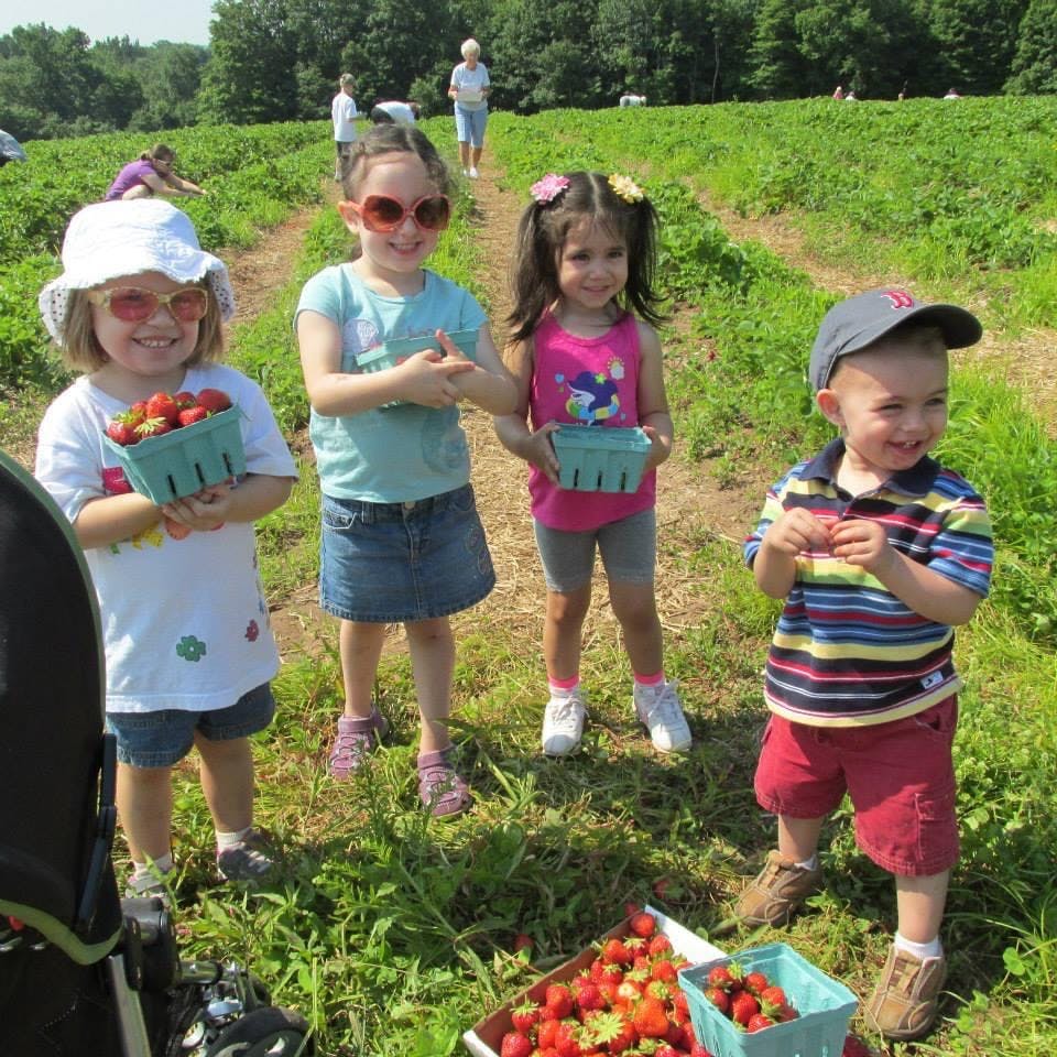 Four children holding baskets of strawberries in a field