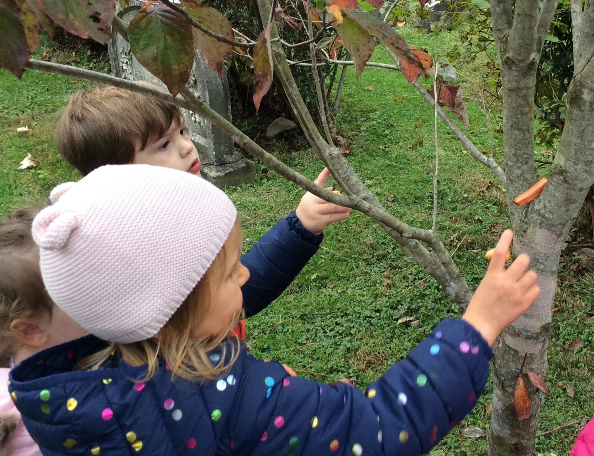 Child in a pink hat touching a tree branch
