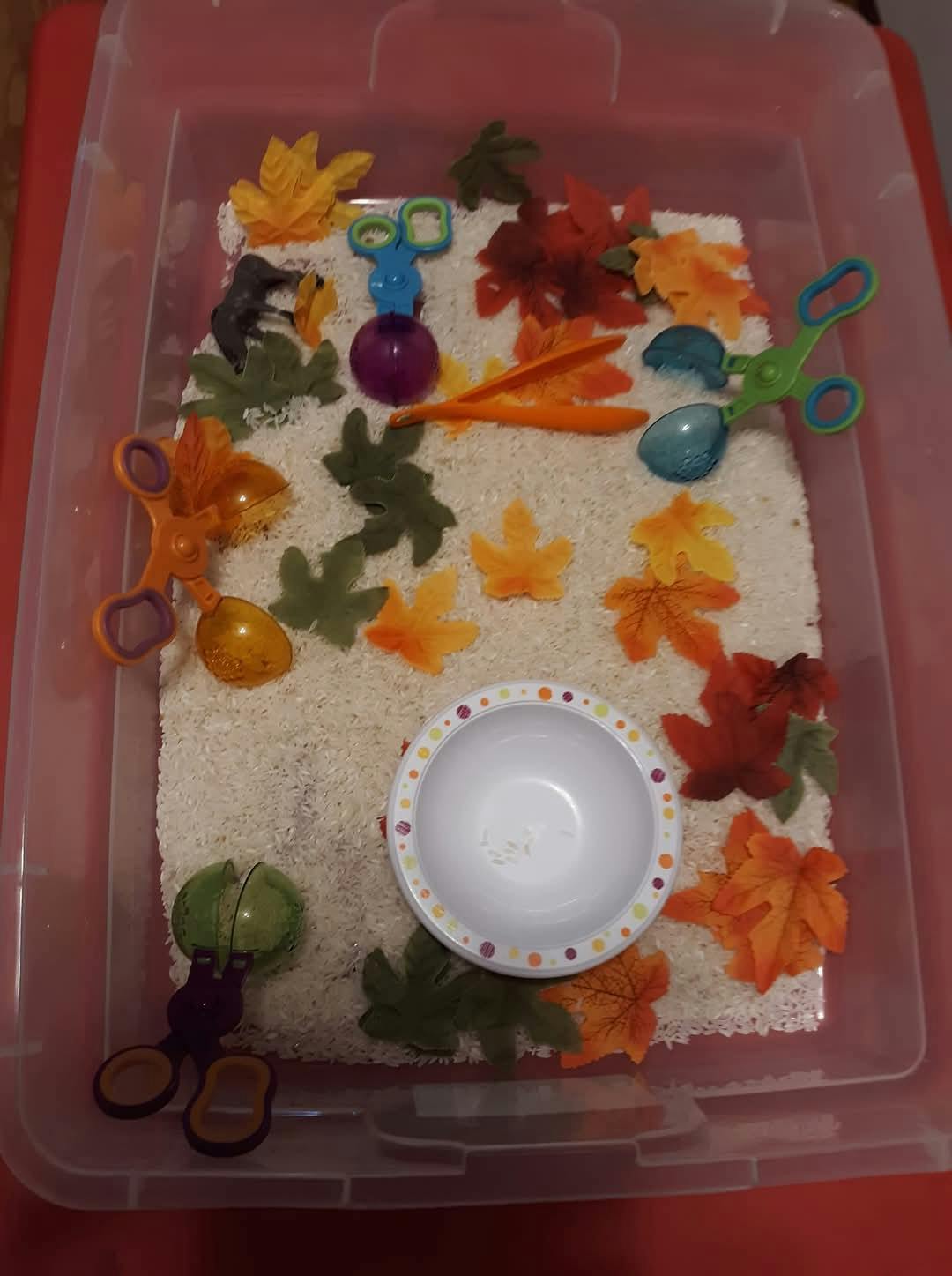 Sensory bin with rice, fall leaves, and various scoops and tongs