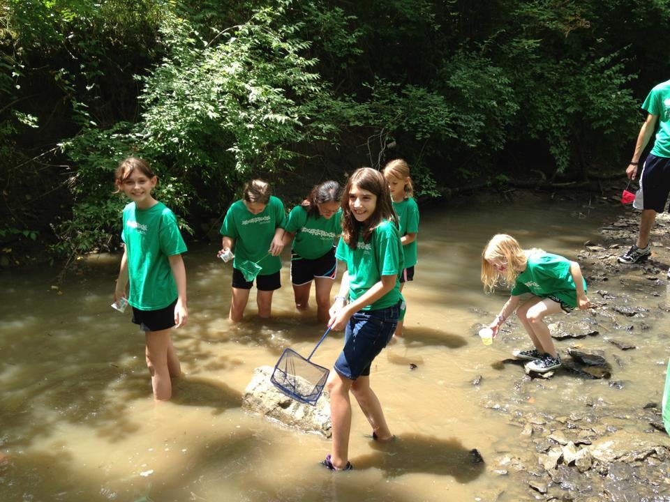 Children in a creek, some holding nets