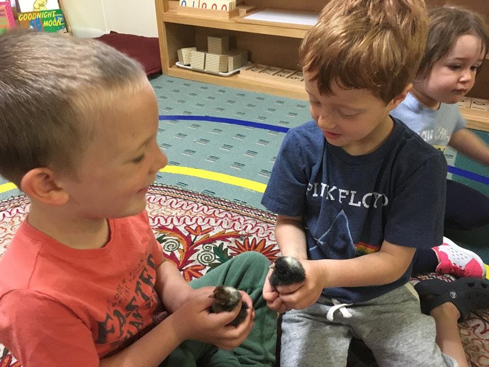 Two children holding small animals