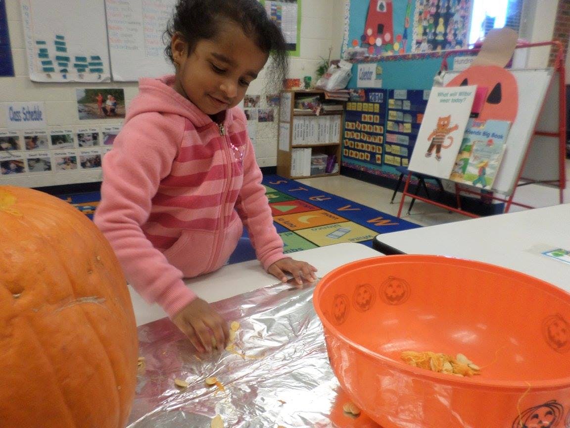 Child separating pumpkin seeds on foil in a classroom