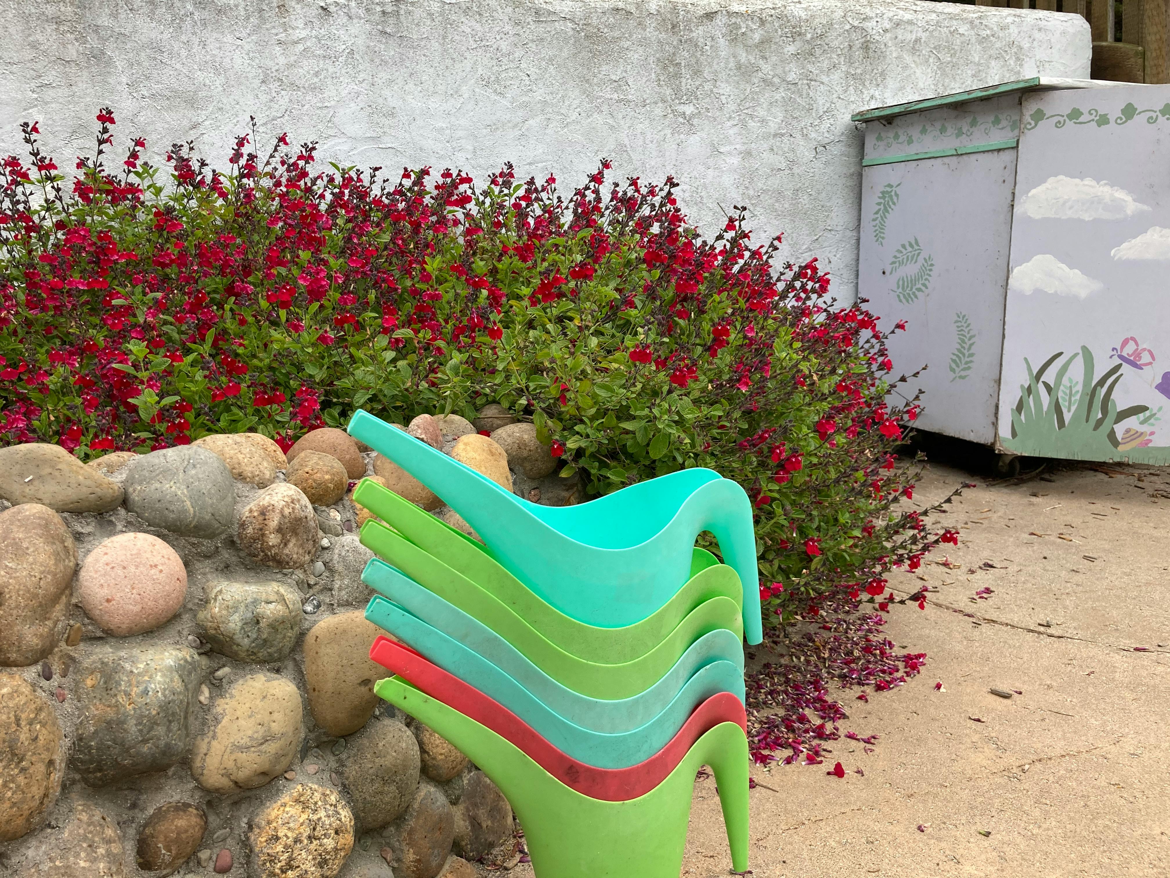 Stack of colorful watering cans next to a rock wall and red flowers