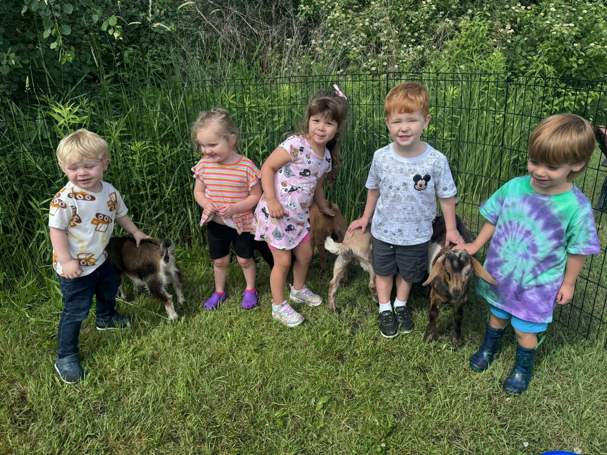 Five children standing in a grassy enclosure interacting with small goats