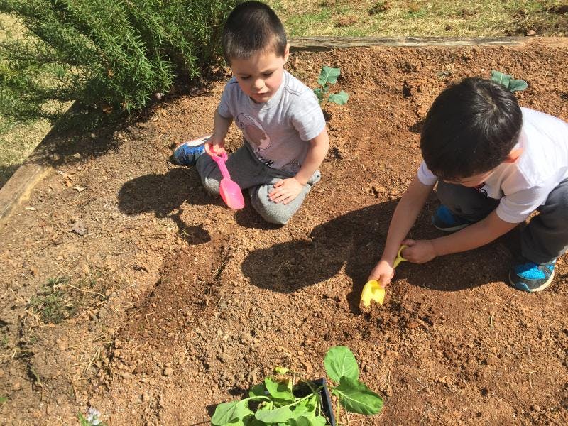 Two children digging in dirt with small shovels