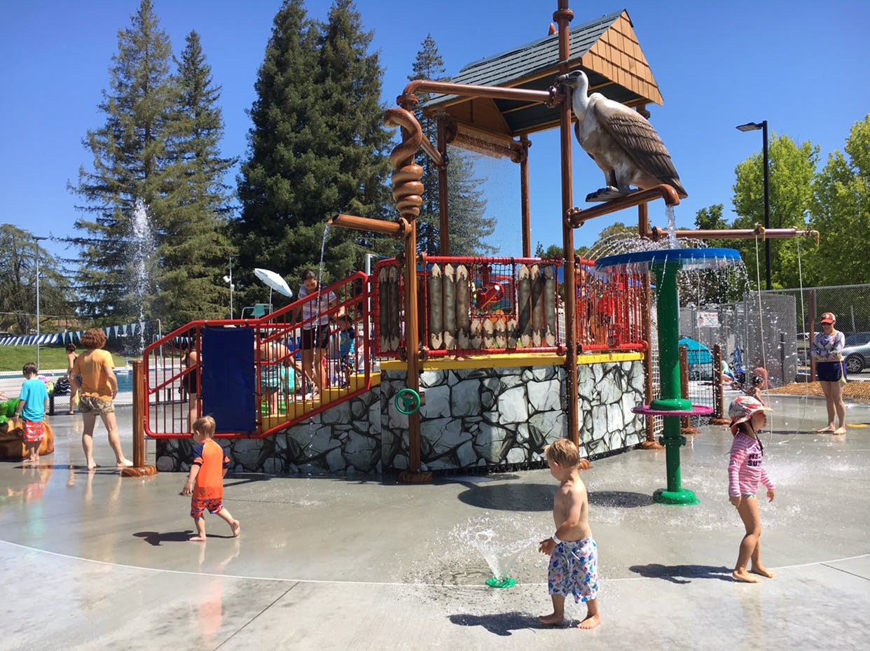 Larkey Park Swim Center in Walnut Creek Parent Reviews on Winnie