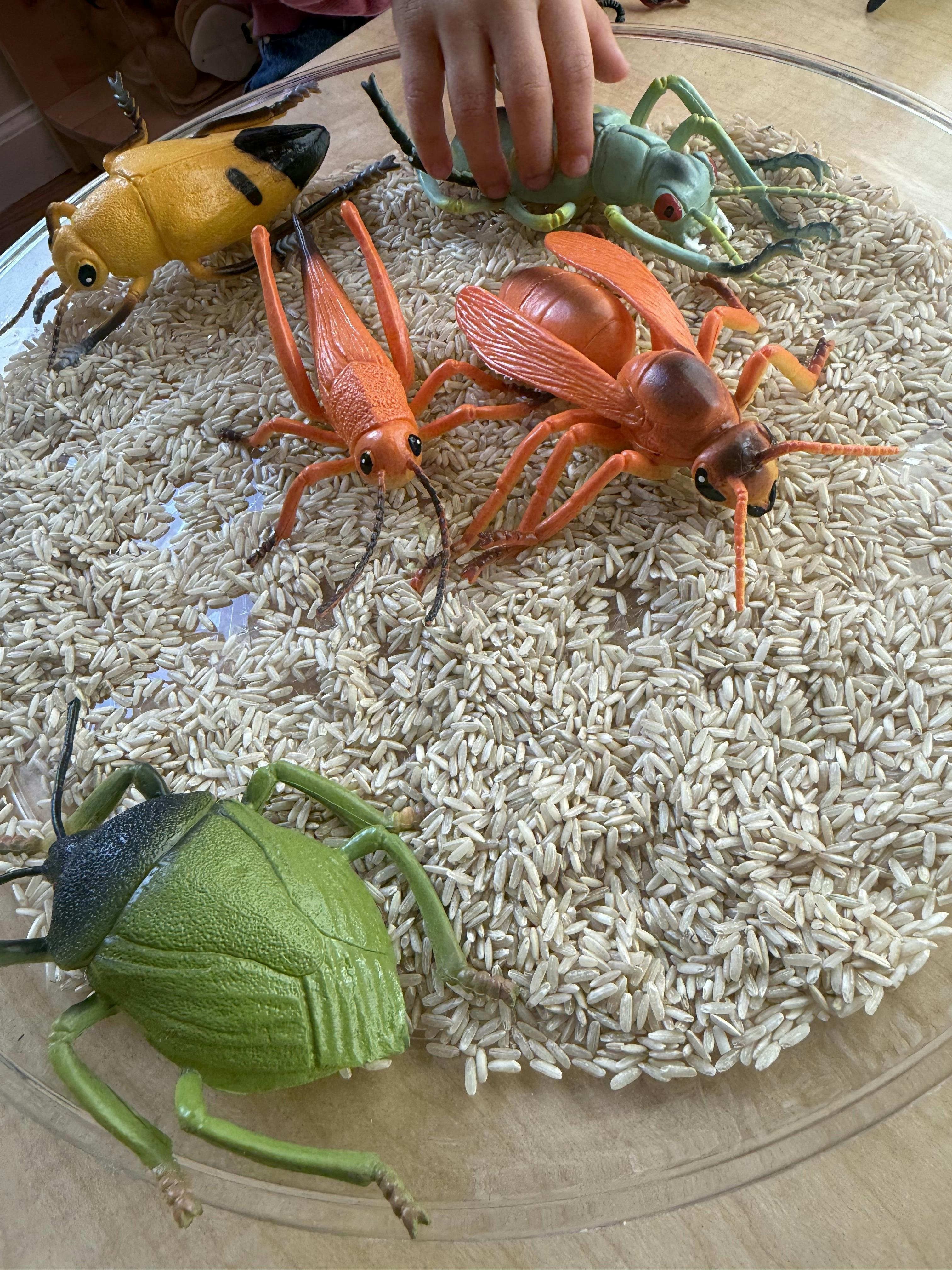 Child's hand reaching for toy insects in a bin of rice