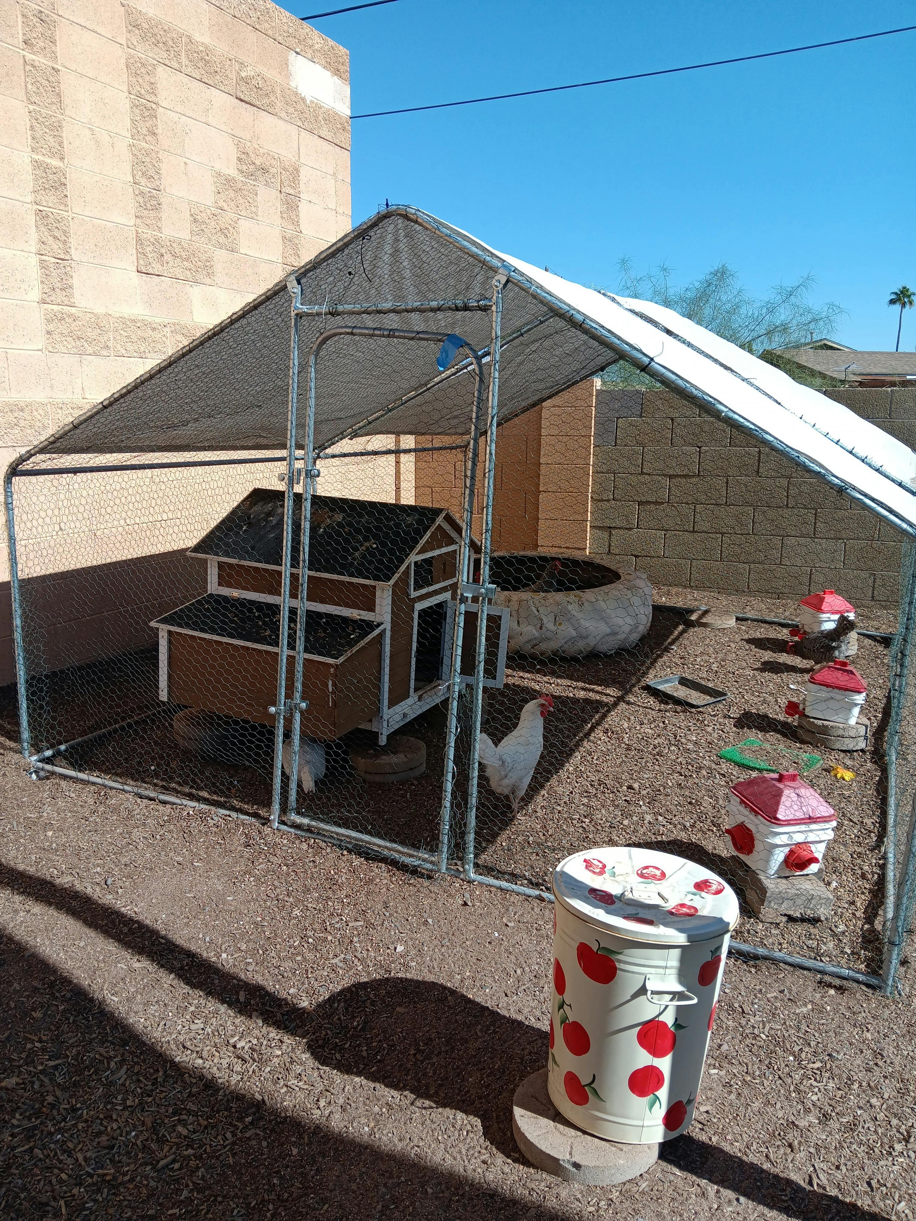 Chicken coop with a white chicken inside a fenced enclosure