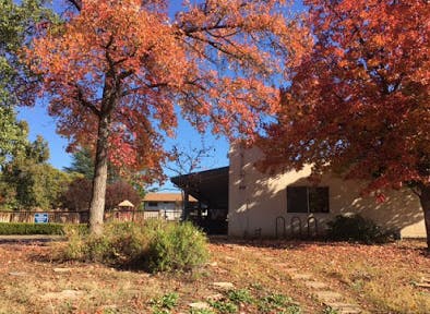 Building exterior with two trees displaying red autumn leaves